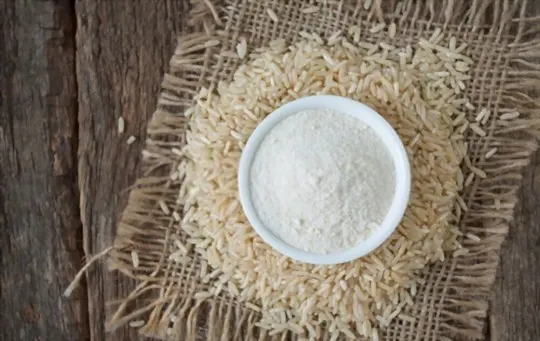 7 BEST Brown Rice Flour Substitutes