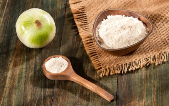 7 Best Substitutes for Onion Powder