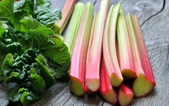 how long does rhubarb last in the fridge
