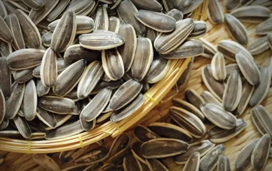 How Long Does Sunflower Seeds Last? Do They Go Bad?