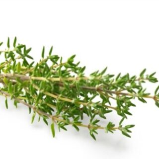 how long does thyme last