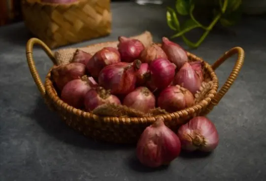 What Is A Shallot? Shelf-life & Storage @EatByDate