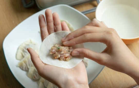 5 Best Gyoza Wrappers Substitutes to Consider