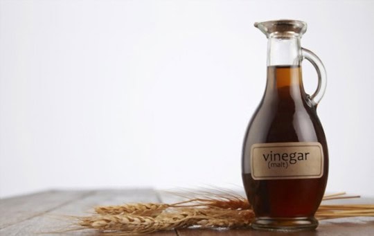 5 Best Malt Vinegar Substitutes to Consider