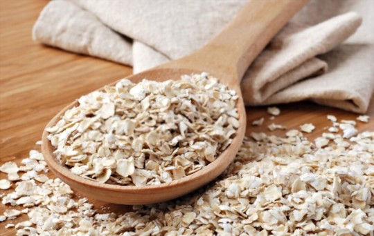 5 Best Old Fashioned Oats Substitutes You Should Try