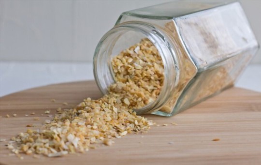 5 Best Onion Flakes Substitutes to Consider