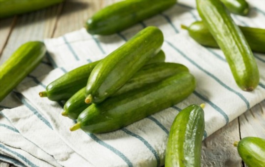5 Best Persian Cucumber Substitutes to Consider