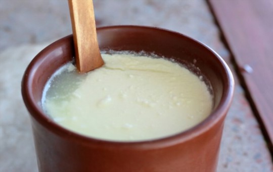 5 Best Sour Milk Substitutes to Consider