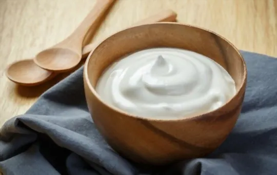 5 Best Yogurt Substitutes in Baking