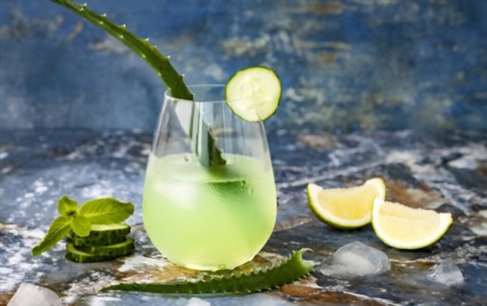 What Does Aloe Vera Juice Taste Like? A Comprehensive Guide