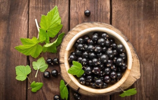 What Does Black Currant Taste Like? A Comprehensive Guide