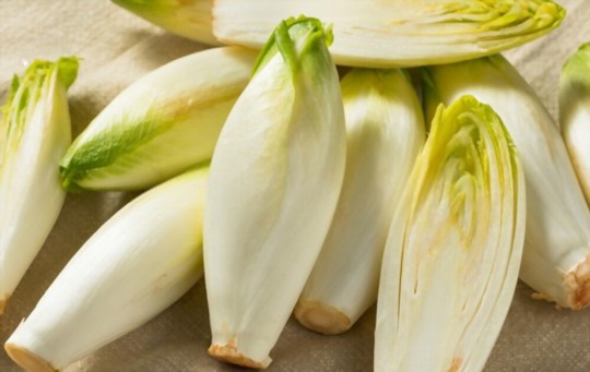 What Does Endive Taste Like? A Comprehensive Guide
