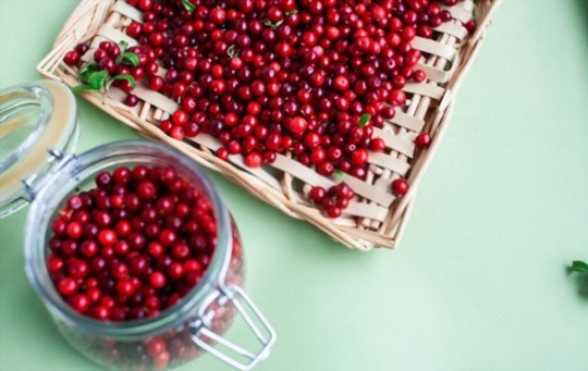 What Does Lingonberry Taste Like? A Comprehensive Guide