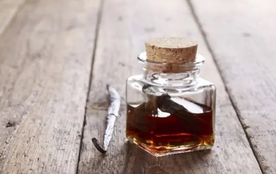 What Does Vanilla Extract Taste Like? A Comprehensive Guide
