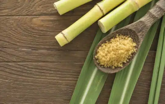 what is sugar cane