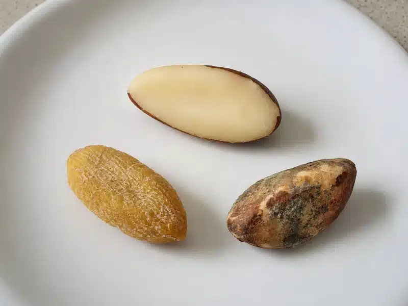 Fresh rancid and mold-damaged Brazil nuts compared
