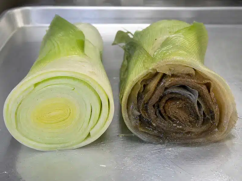 Fresh cut leek beside slimy discolored spoiled layers | EpicureDelight