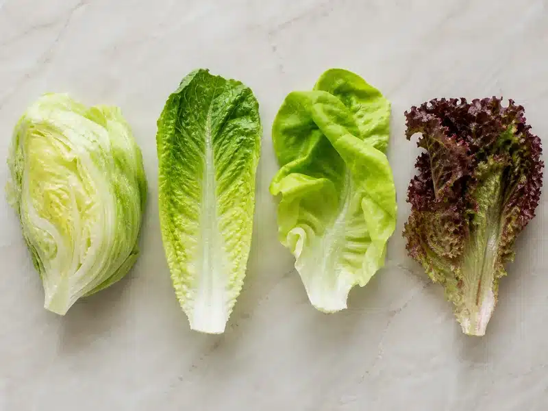 Four common lettuce types compared by leaf and head - varieties | EpicureDelight