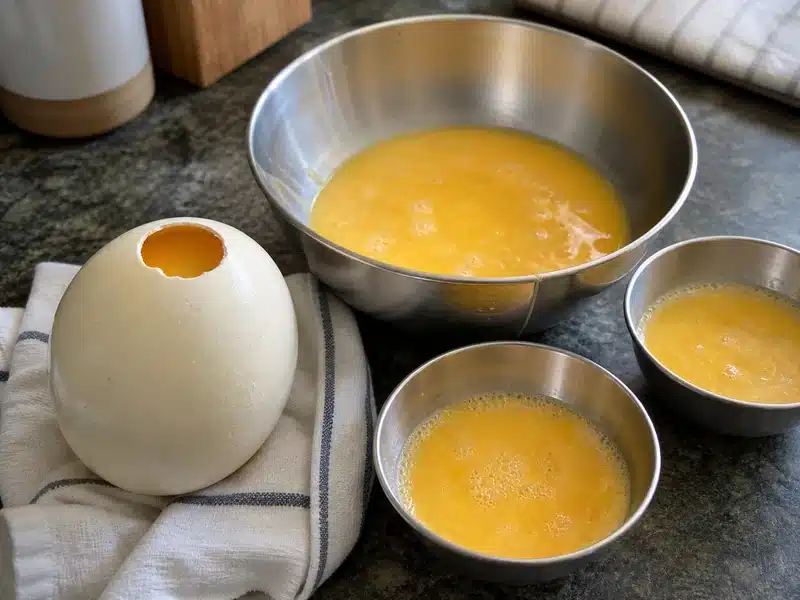 Opened ostrich egg beside a bowl of beaten egg portions - ostrich egg taste | EpicureDelight