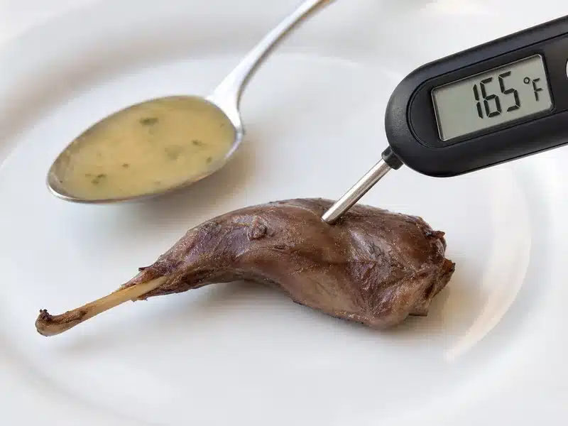 Cooked wild game checked with a food thermometer - safety | EpicureDelight