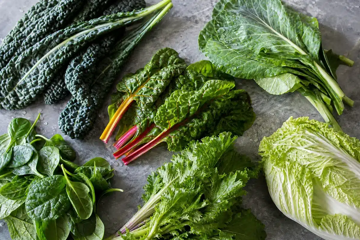 Tuscan kale with collards chard spinach mustard greens and Napa cabbage | EpicureDelight
